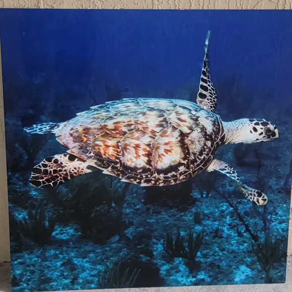 Aluminum Sea Turtle Ocean Wall Art 30x30